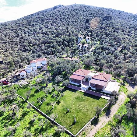 Отель Gera'S Olive Grove - Elaionas Lesvou Marmaro  Экстерьер фото