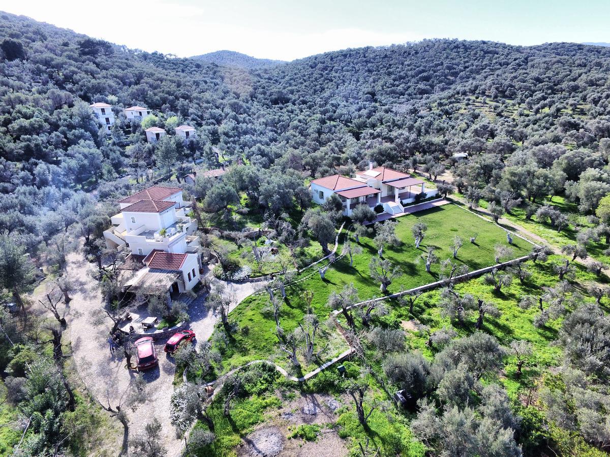 Отель Gera'S Olive Grove - Elaionas Lesvou Marmaro  Экстерьер фото