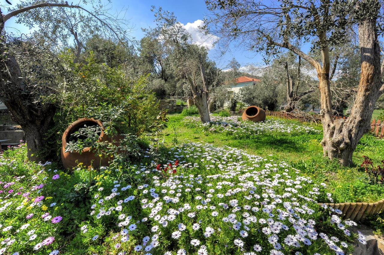 Отель Gera'S Olive Grove - Elaionas Lesvou Marmaro  Экстерьер фото