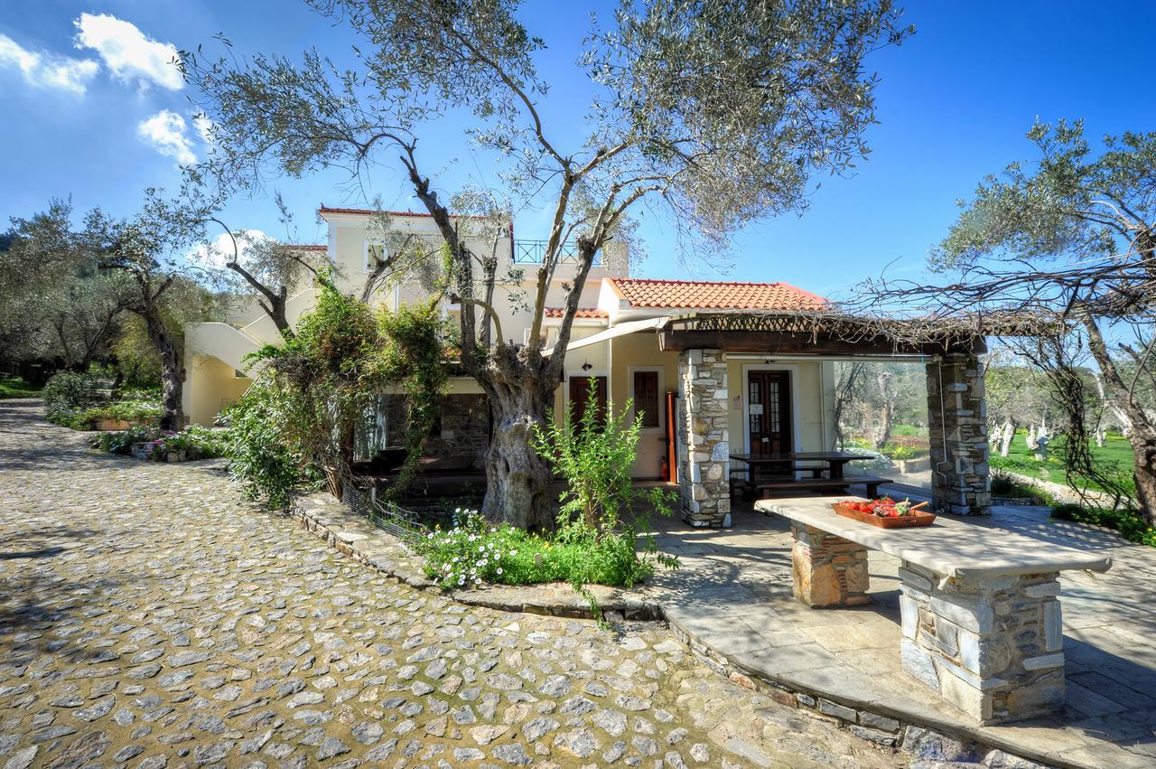 Отель Gera'S Olive Grove - Elaionas Lesvou Marmaro  Экстерьер фото